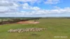 Lot 1 Calzoni Road, Woolocutty, WA 6369-Image