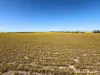 Lot 1 Calzoni Road, Woolocutty, WA 6369-Image