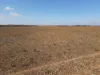 Lot 1 Schulzs Road, Black Hill, SA 5353