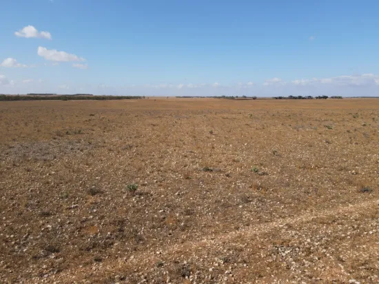 Lot 1 Schulzs Road, Black Hill, SA 5353