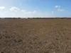 Lot 1 Schulzs Road, Black Hill, SA 5353-Image