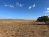 Lot 1 Schulzs Road, Black Hill, SA 5353-Image