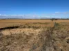 Lot 1 Schulzs Road, Black Hill, SA 5353-Image