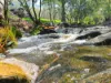 Lot 10 Iron Pot Creek Road, Kyogle, NSW 2474-Image