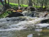 Lot 10 Iron Pot Creek Road, Kyogle, NSW 2474-Image