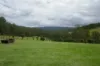 Lot 10 Iron Pot Creek Road, Kyogle, NSW 2474-Image