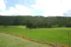 Lot 10 Iron Pot Creek Road, Kyogle, NSW 2474-Image