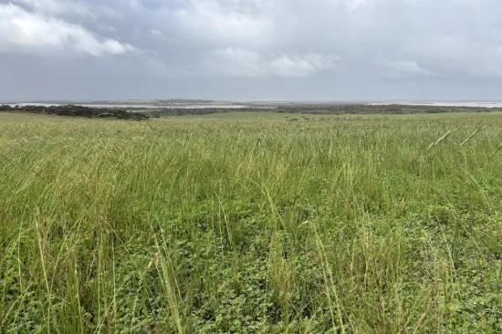 Lot 11 Sceale Bay Road, Yanerbie, SA 5680