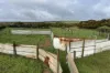 Lot 11 Sceale Bay Road, Yanerbie, SA 5680-Image