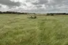 Lot 11 Sceale Bay Road, Yanerbie, SA 5680-Image