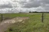 Lot 11 Sceale Bay Road, Yanerbie, SA 5680-Image