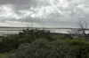 Lot 11 Sceale Bay Road, Yanerbie, SA 5680-Image