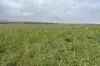 Lot 11 Sceale Bay Road, Yanerbie, SA 5680-Image
