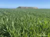 Lot 112 Jackson Road, Bowes, WA 6535