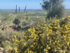 Lot 112 Jackson Road, Bowes, WA 6535-Image