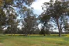 Lot 1153 Crockerup Road, Mount Barker, WA 6324-Image
