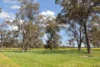 Lot 1153 Crockerup Road, Mount Barker, WA 6324-Image