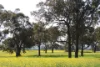 Lot 1153 Crockerup Road, Mount Barker, WA 6324-Image