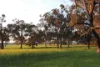 Lot 1153 Crockerup Road, Mount Barker, WA 6324-Image