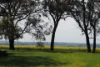 Lot 1153 Crockerup Road, Mount Barker, WA 6324-Image