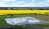 Lot 1153 Crockerup Road, Mount Barker, WA 6324-Image