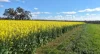 Lot 1153 Crockerup Road, Mount Barker, WA 6324-Image