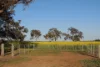 Lot 1153 Crockerup Road, Mount Barker, WA 6324-Image