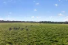 Lot 128 Moores Road, Haines, SA 5223-Image