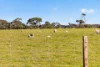Lot 128 Moores Road, Haines, SA 5223-Image