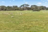 Lot 128 Moores Road, Haines, SA 5223-Image