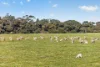 Lot 128 Moores Road, Haines, SA 5223-Image