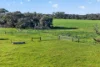 Lot 128 Moores Road, Haines, SA 5223-Image