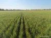 Lot 14044 Goomarin Road, Nukarni, WA 6480