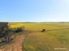 Lot 14044 Goomarin Road, Nukarni, WA 6480-Image