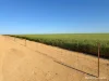 Lot 14044 Goomarin Road, Nukarni, WA 6480-Image
