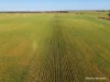 Lot 14044 Goomarin Road, Nukarni, WA 6480-Image