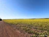 Lot 14044 Goomarin Road, Nukarni, WA 6480-Image
