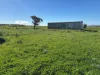 Lot 16 Wildman Road, Cowell, SA 5602-Image
