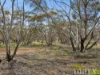 Lot 195 Seven Cross Road, Sedan, SA 5353-Image
