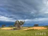 Lot 195 Seven Cross Road, Sedan, SA 5353-Image