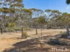 Lot 195 Seven Cross Road, Sedan, SA 5353-Image