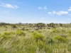 Lot 195 Seven Cross Road, Sedan, SA 5353-Image