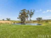 Lot 195 Seven Cross Road, Sedan, SA 5353-Image