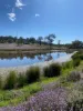 Lot 2 113 Owens Scrub Rd, Leyburn, Qld 4365-Image