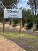 Lot 2 113 Owens Scrub Rd, Leyburn, Qld 4365-Image