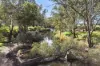 Lot 2 Barnadown-Knowsley Road, Muskerry, Vic 3557-Image