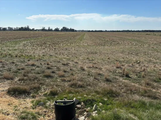 Lot 2 Koondrook-Murrabit Road,, Koondrook, Vic 3580