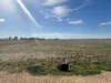 Lot 2 Koondrook-Murrabit Road,, Koondrook, Vic 3580-Image