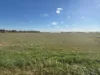 Lot 2 Koondrook-Murrabit Road,, Koondrook, Vic 3580-Image