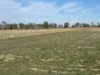 Lot 2 Koondrook-Murrabit Road,, Koondrook, Vic 3580-Image